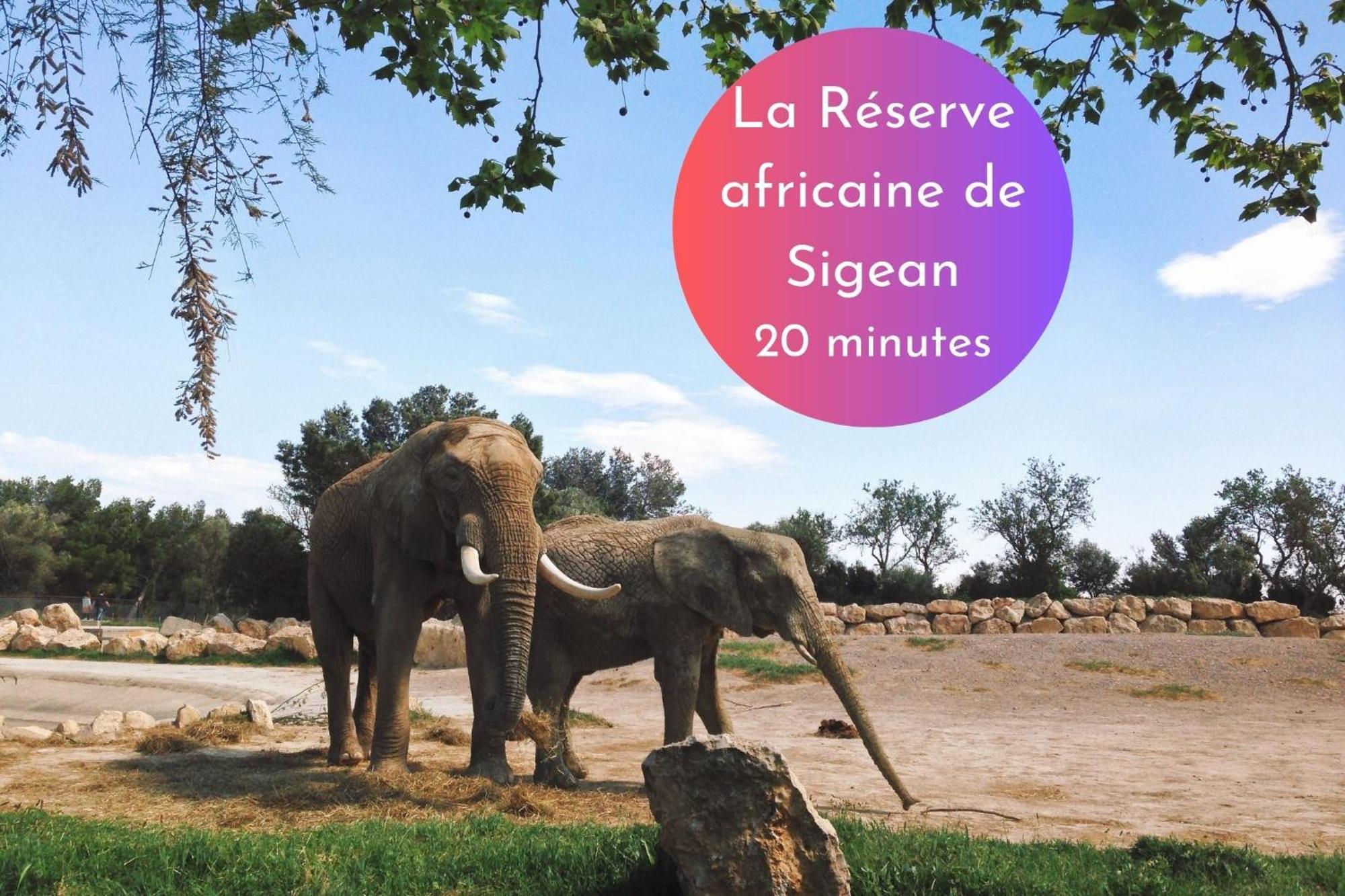 Cachette Secrete & Spa Narbonne Ngoại thất bức ảnh